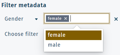 Metadata filter