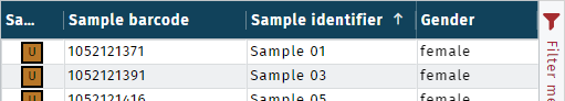 Metadata filter